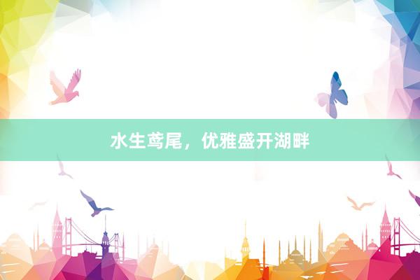 水生鸢尾，优雅盛开湖畔